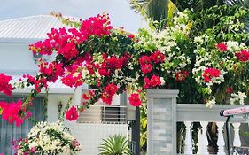 Bougain Villa